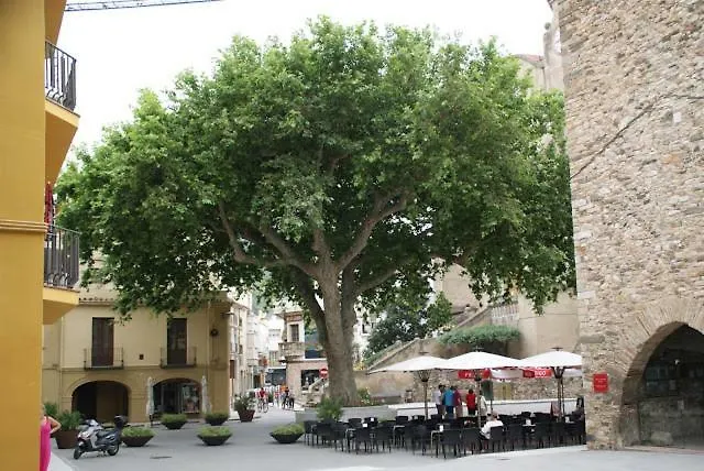 Nice Apartment In Llanca Center 0*,  Spain